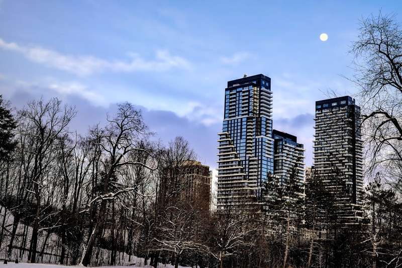 A Scene from Serena Gundy Park in a Winter Evening- 00